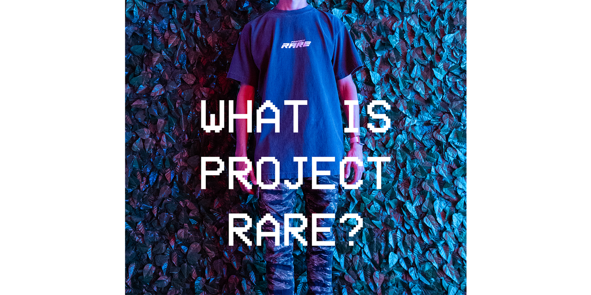 Load video: WHAT IS PROJECT RARE VIDEO